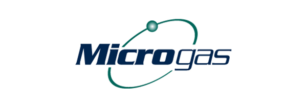 Microgas Systems was formed