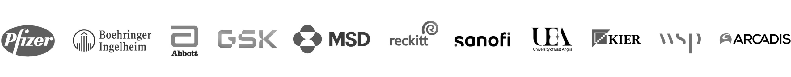 company-logos-row-6v2