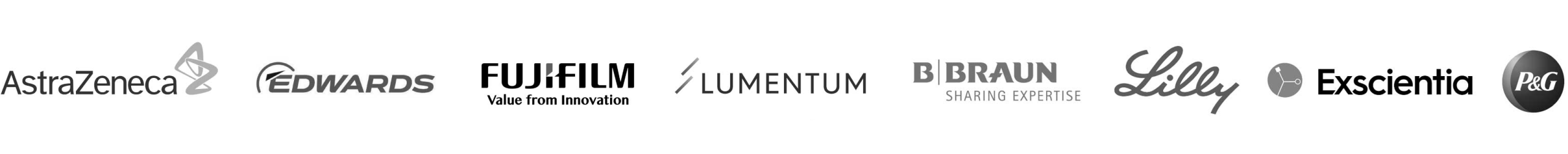 company-logos-row-8v2